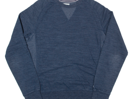 CHAMPION Mens Sweatshirt Blue L Sale