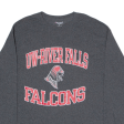 CHAMPION UW-River Falls Falcons Mens T-Shirt Grey Long Sleeve USA L For Cheap