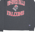 CHAMPION UW-River Falls Falcons Mens T-Shirt Grey Long Sleeve USA L For Cheap